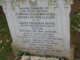 image of grave number 223841